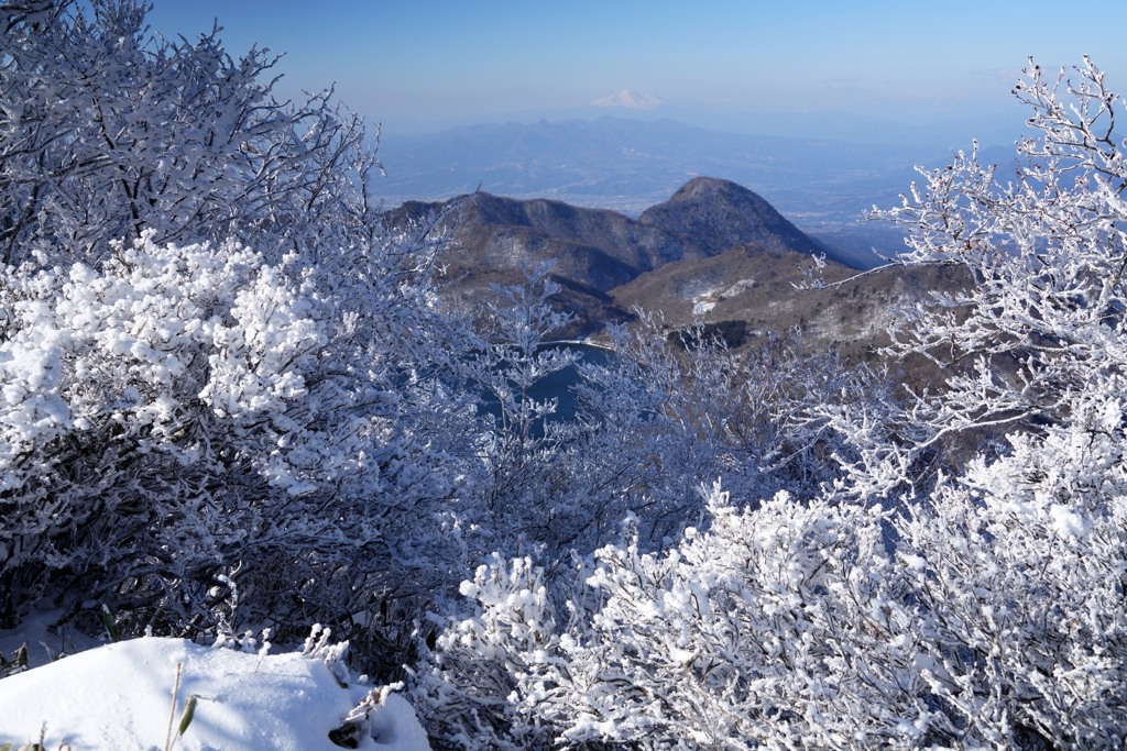 霧氷と鈴ヶ岳
