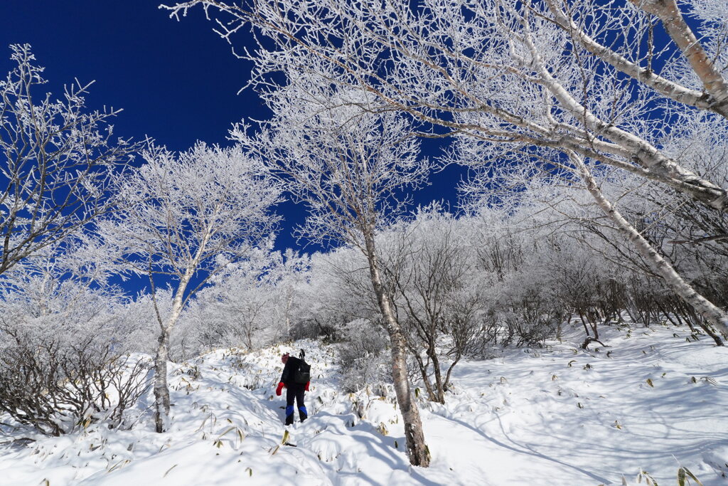 霧氷に囲まれながら