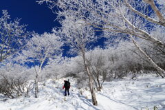 霧氷に囲まれながら
