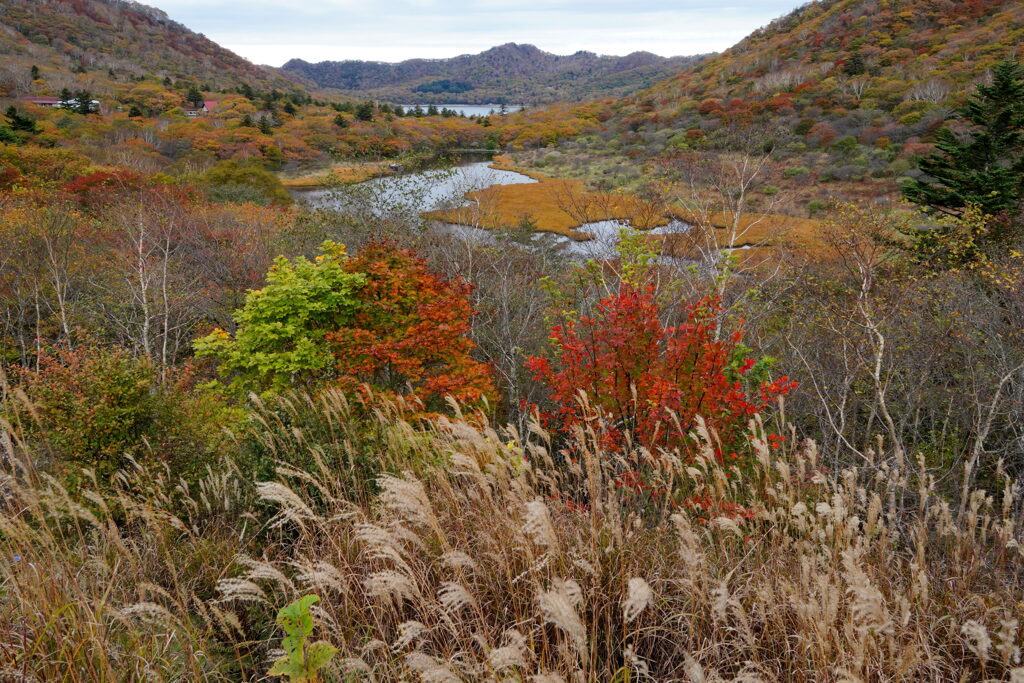 秋色染まる赤城山