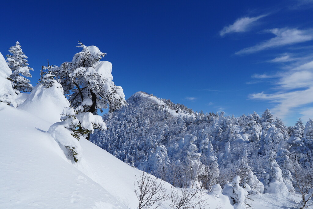 樹氷の四阿山