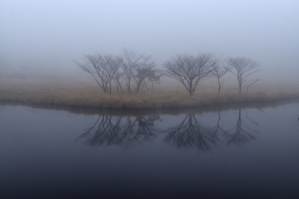 霧の覚満淵