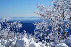 柔らかな雪景色