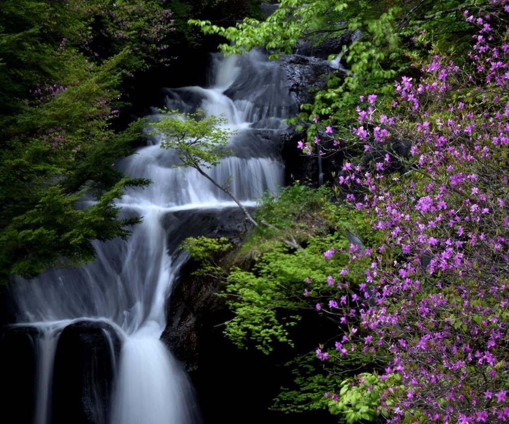 水音