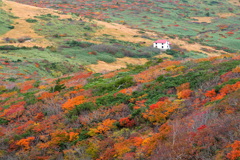 錦囲む山小屋