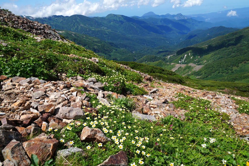 夏山へ