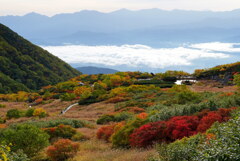 紅葉染まる千畳敷