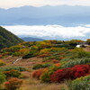 紅葉染まる千畳敷