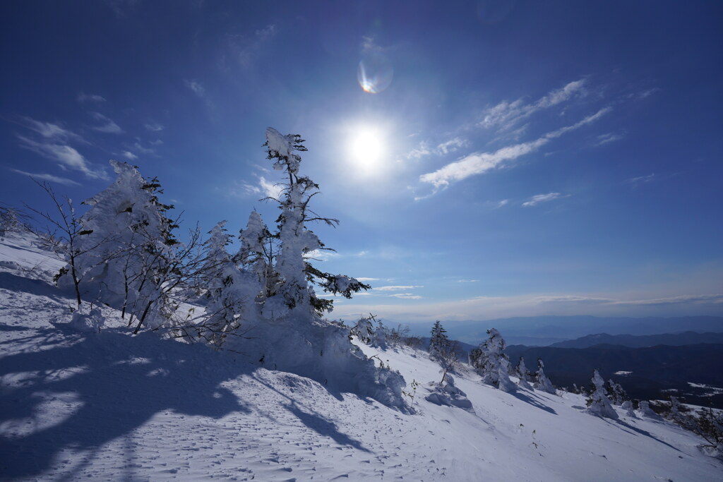 太陽と樹氷