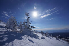 太陽と樹氷