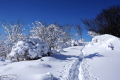 ふかふか雪の中へ