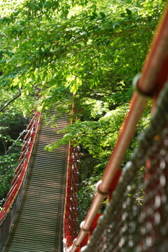 新緑と赤い吊り橋