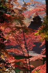 崇禅寺の秋