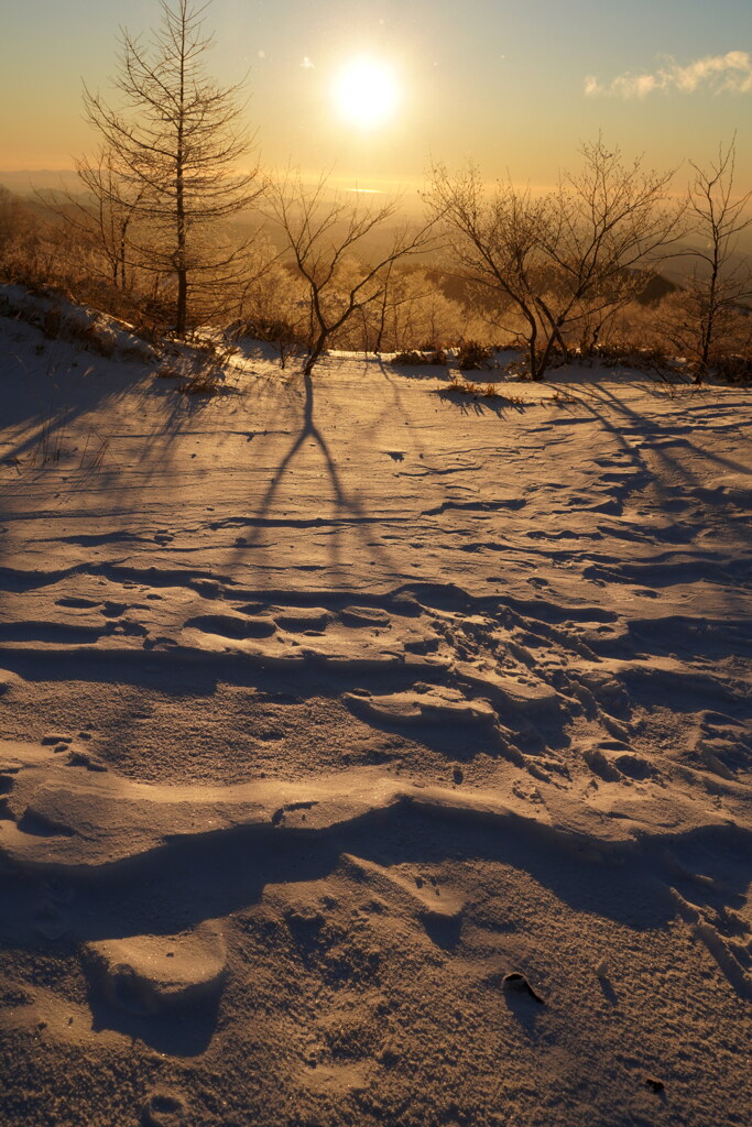 朝陽に染まる雪の波