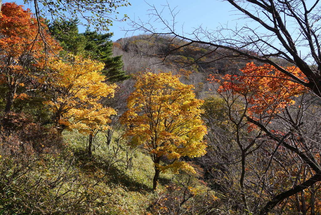 秋の荒山ハイク