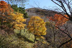 秋の荒山ハイク