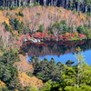 紅葉染まるの白駒池