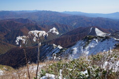 秋と冬の狭間で