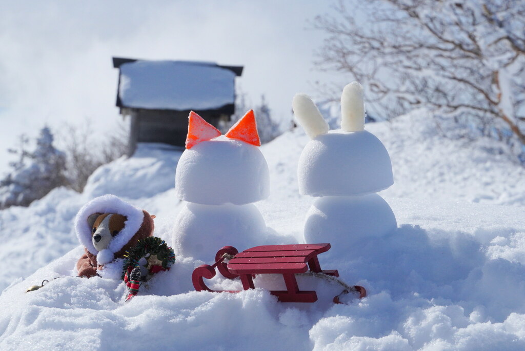 サンタがやって来る