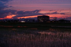 夕焼け後