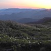 朝焼けの平標山