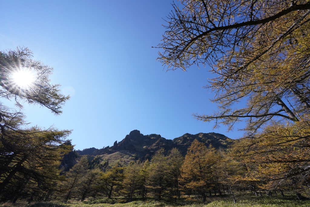 カラマツと外輪山