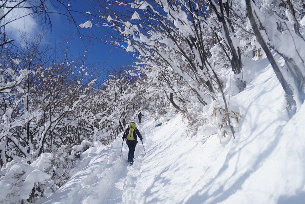 雪景色に変身