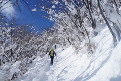 雪景色に変身