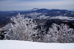 霧氷の先に浅間山