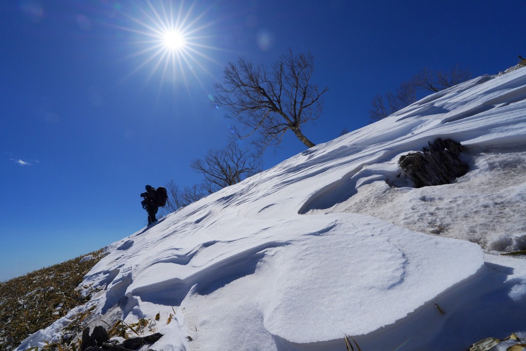 太陽と雪の波