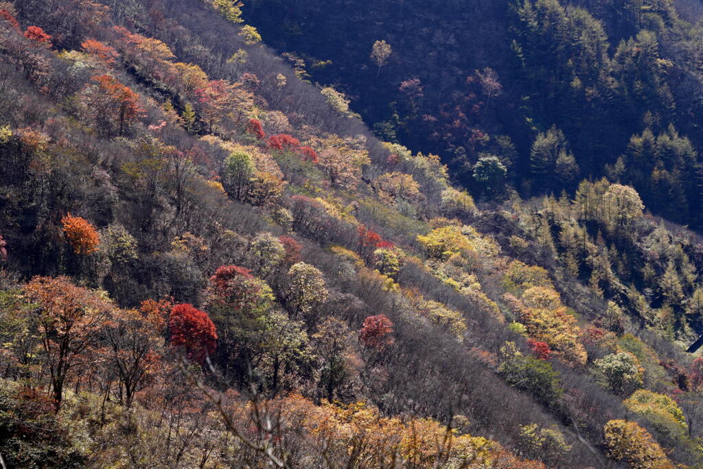 錦光る尾根