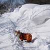 大きな雪庇