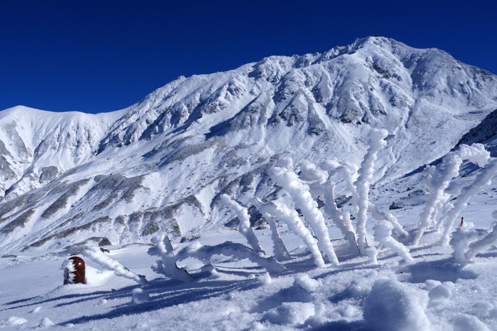 初冬の立山