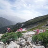 夏の唐松岳