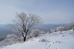 雪景色に独り