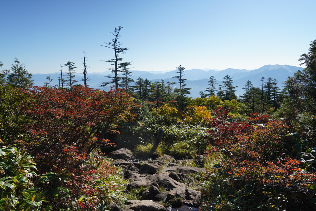 紅葉の登山道