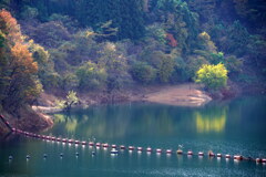 梅田湖