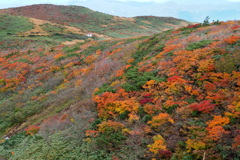 ポツンと紅葉の中