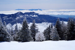 雲海の冬景