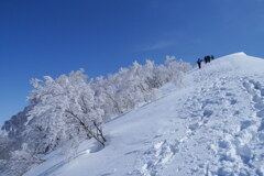 霧氷の頂へ