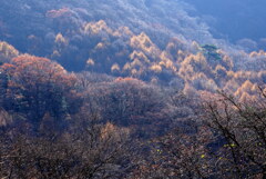 晩秋の赤城山麓