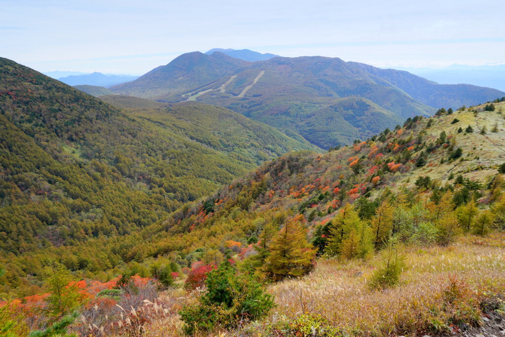 秋到来　烏帽子岳