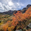 紅葉の木曽駒ケ岳