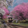 春の神戸駅