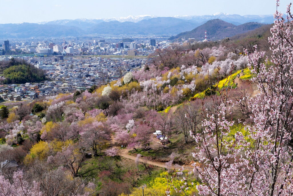 生け花の里