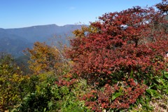 紅葉の三角山