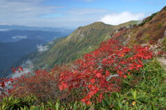 紅葉と茂倉岳