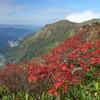 紅葉と茂倉岳