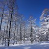 おとぎの森　冬