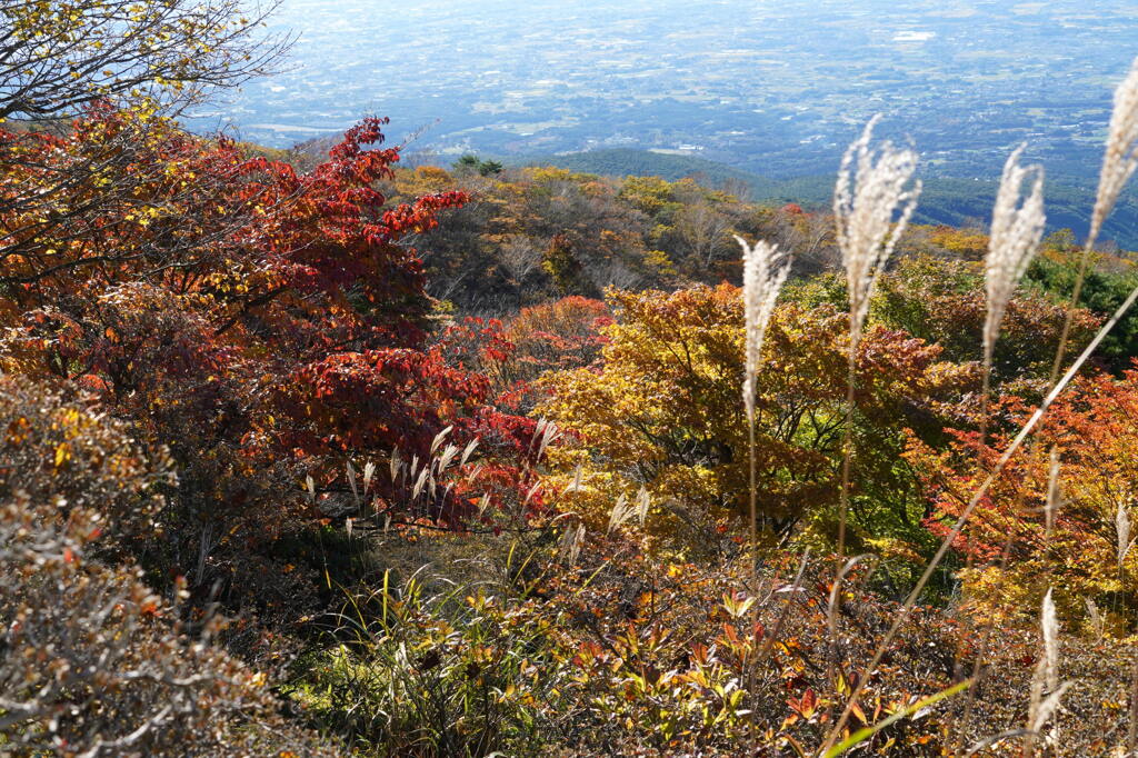 紅葉ハイキング